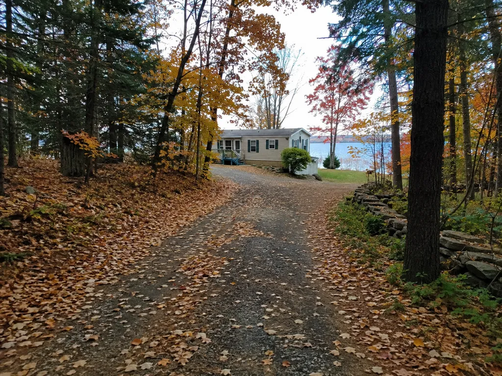 A gravel driveway lined with trees leads to a house by the lake.